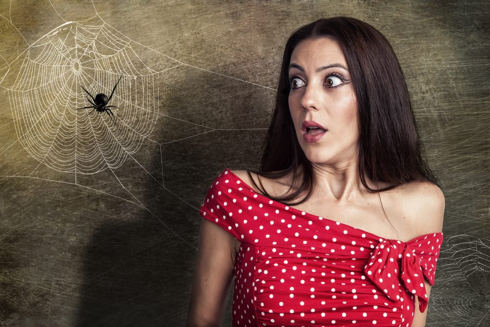 Arachnofóbia? Valójában nem is félünk a pókoktól