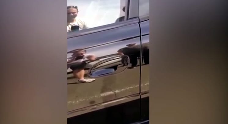 Videó: mit csinál, amikor egy ilyen meglepetés várja a kocsijánál?