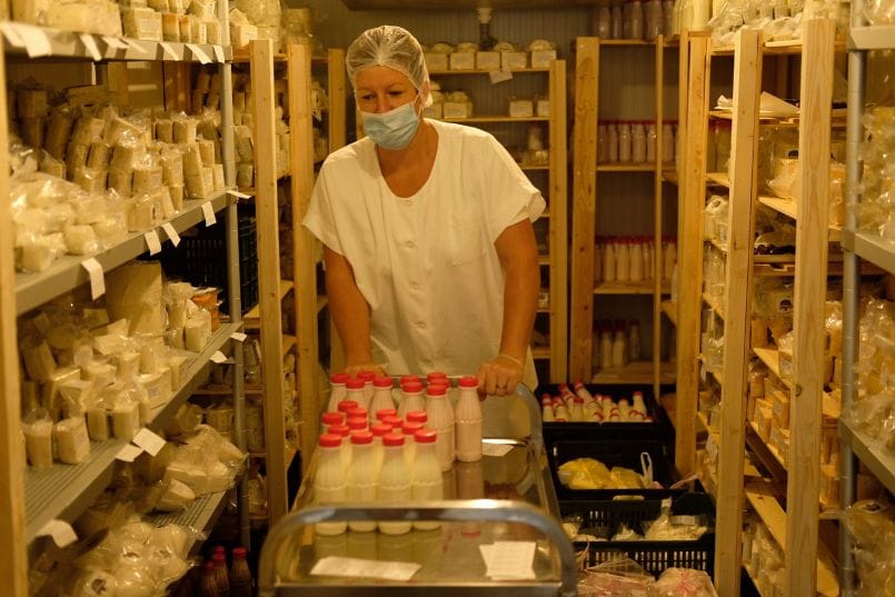 Kilőhet a viharsarki zsákfalu sajtüzeme, amit közmunkások indítottak el