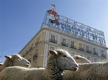 Állatokat áldoztak a kirgiz parlamenti képviselők