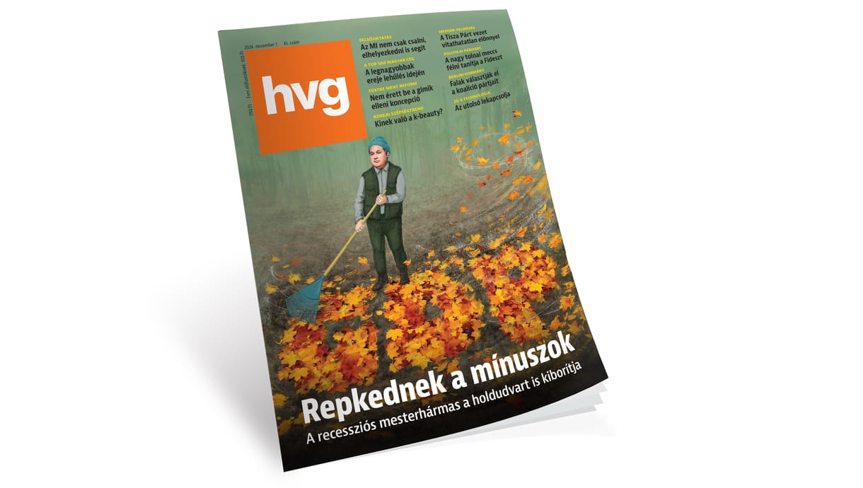 Hamvay Péter: Hősök, csinovnyikok, bolondok