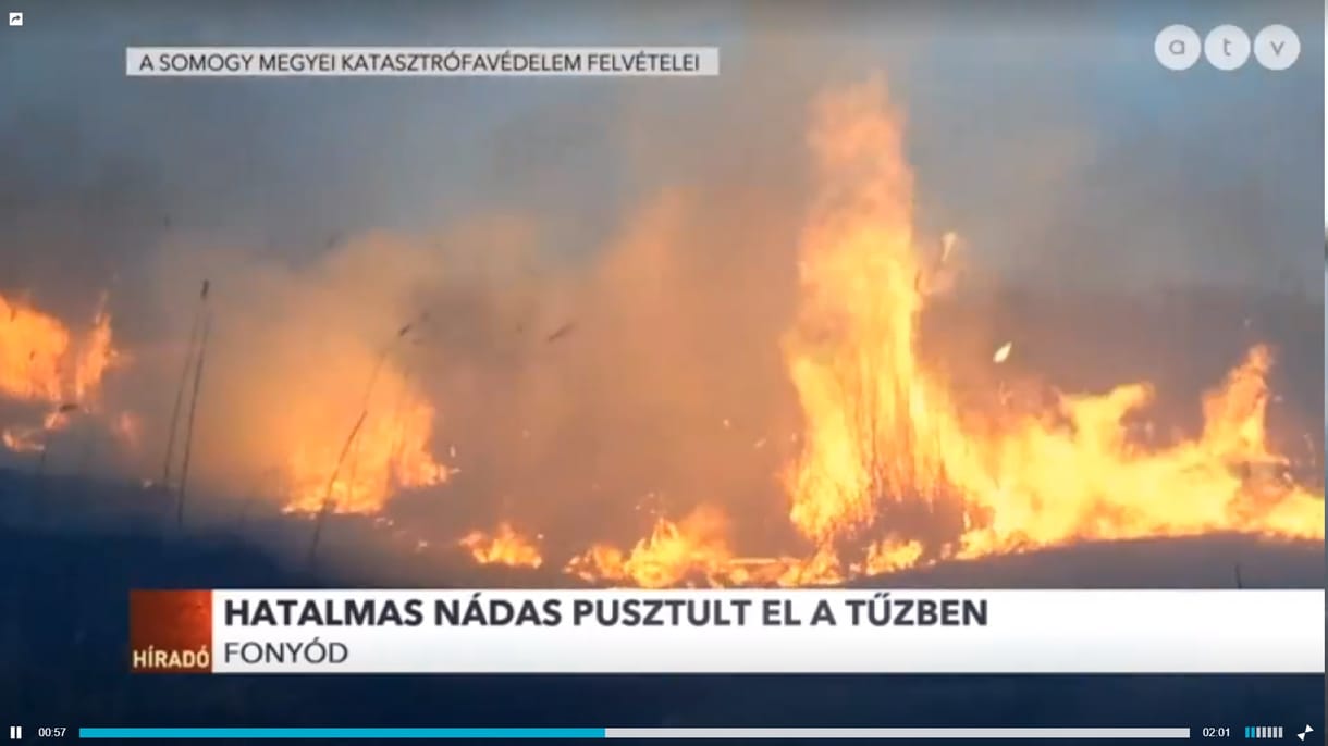 Ég a berek Fonyódnál