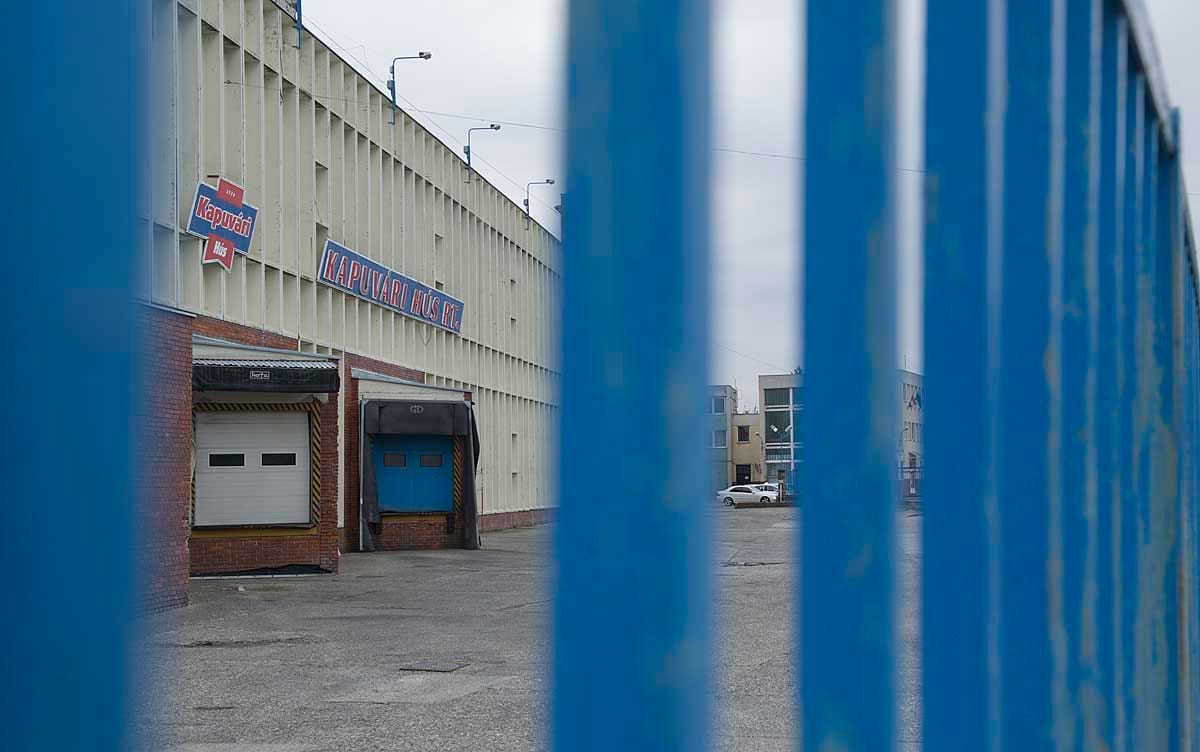 Kapuvári elbocsátottak: remény nincs, tüntetés lesz