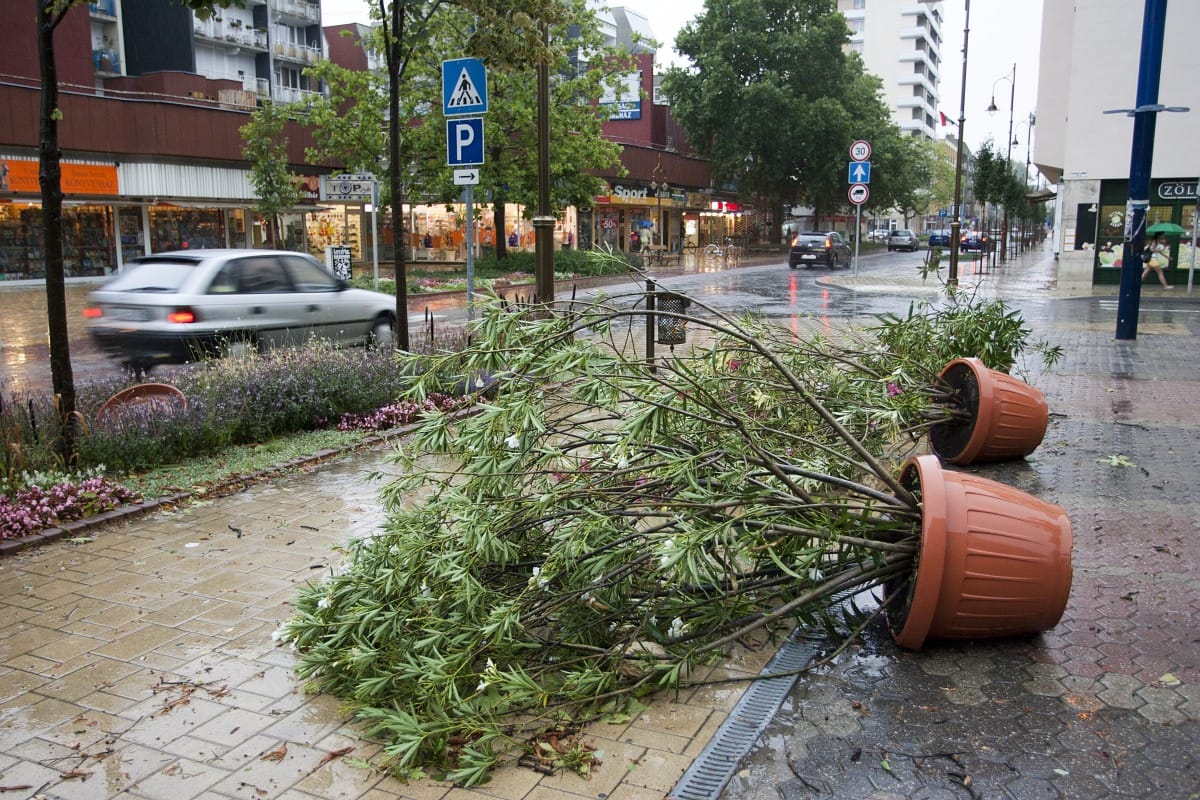 Erdőtűz, orkánerejű szél és kidőlt fák a zalai viharban