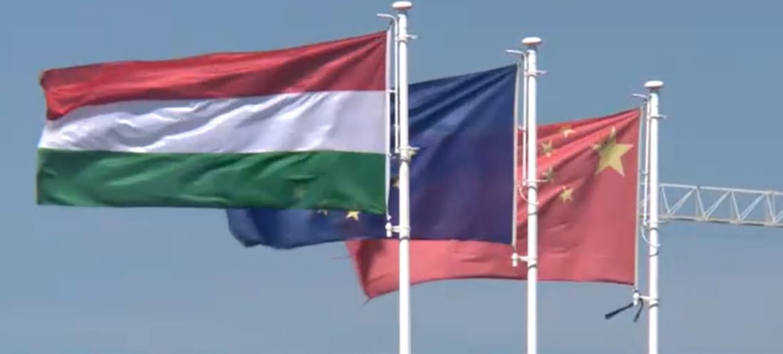 Nincsenek hiteles információk a vendégmunkásokról, ezért terjed annyi rossz pletyka