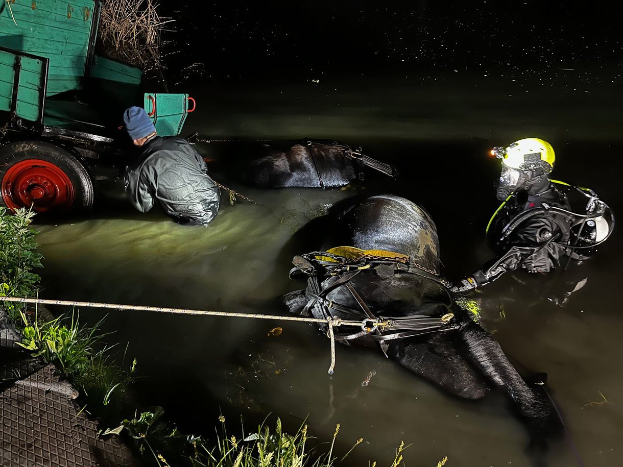 Lovaskocsi hajtott a Duna-Tisza-csatornába, megfulladtak a lovak