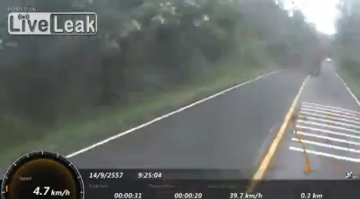Elefántok futamítottak meg egy motorost – videó