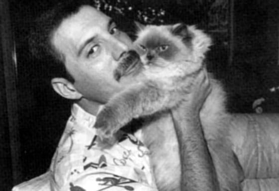 Mostantól bolygó viseli Freddie Mercury nevét