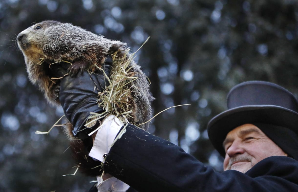 Unja a telet? Jó hírt hozott a medve és a mormota is