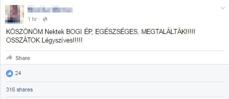 Megtalálták az Egerben eltűnt kislányt