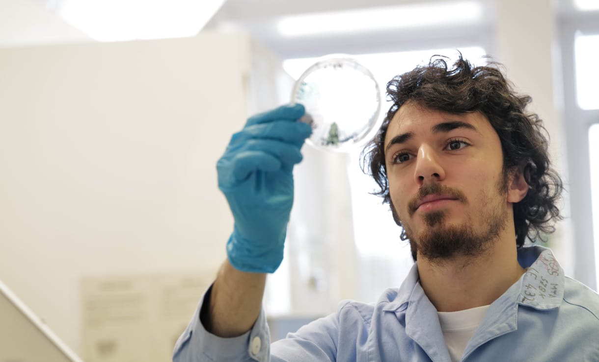 Szegedi kutatók „gyorsítják fel az evolúciót”, hogy megoldást találjanak a antibiotikumok egyre aggasztóbb hatástalanságára