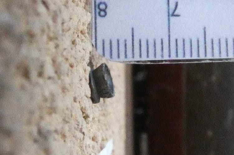 Légpuskával lövöldözve akarta elhallgattatni szomszédja ugató kutyáit egy székesfehérvári férfi