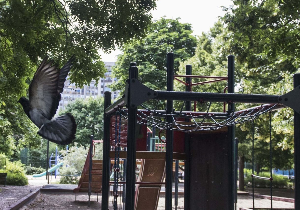 Kocsis Máté meggondolta magát