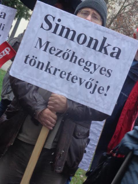 Tüntetés Mezőhegyesen: „ A Fidesz csak az erőből ért”