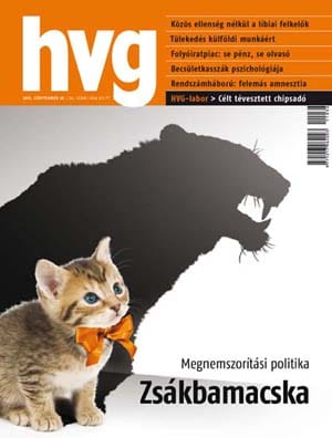 Félamnesztia a regisztrációs adóra - a szabályozás buktatói