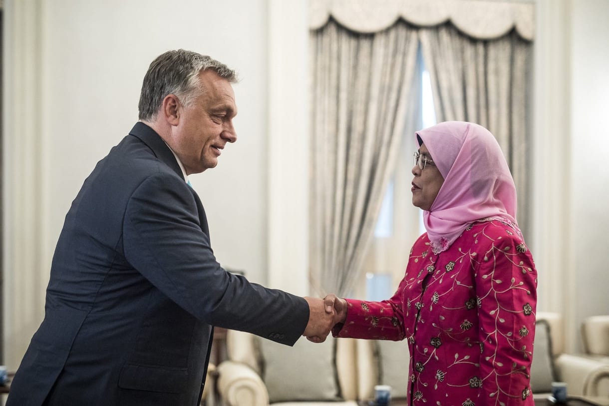 Orchideát neveznek el Orbán Viktorról