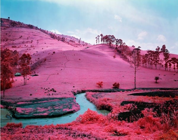 Richard Mosse pszichedelikus infraképei még a Kongó-medencét is vidámmá teszik