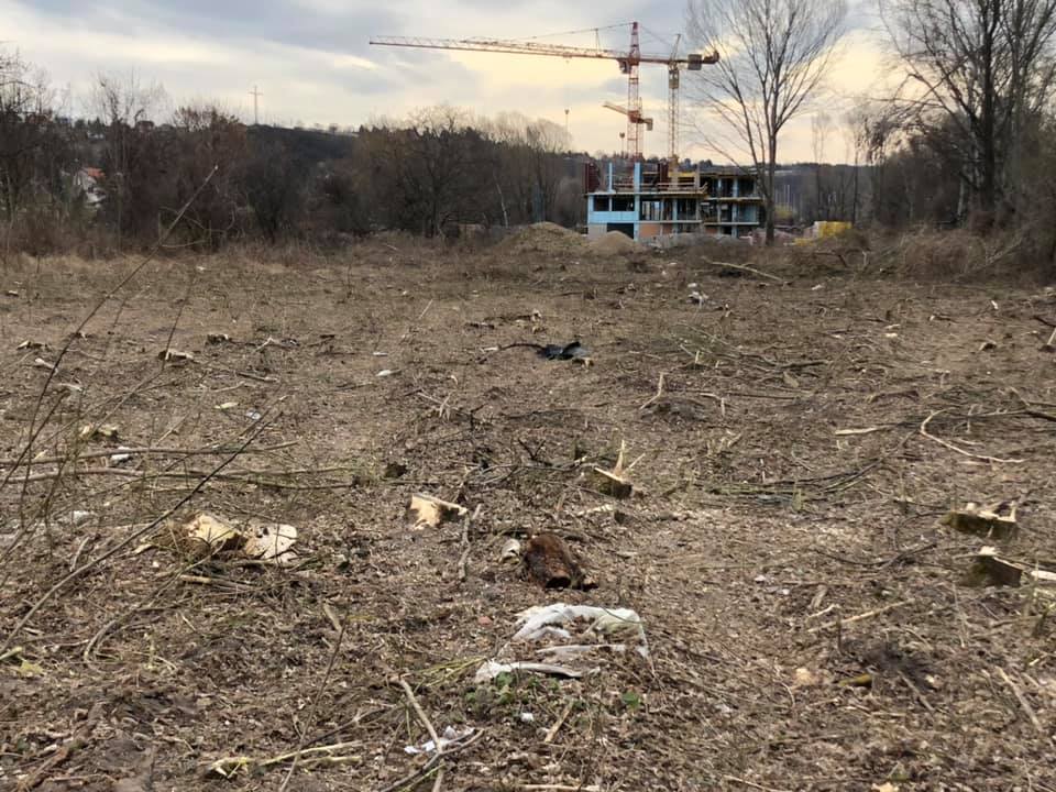 Ősfás erdőt irtottak ki Balatonfűzfőn