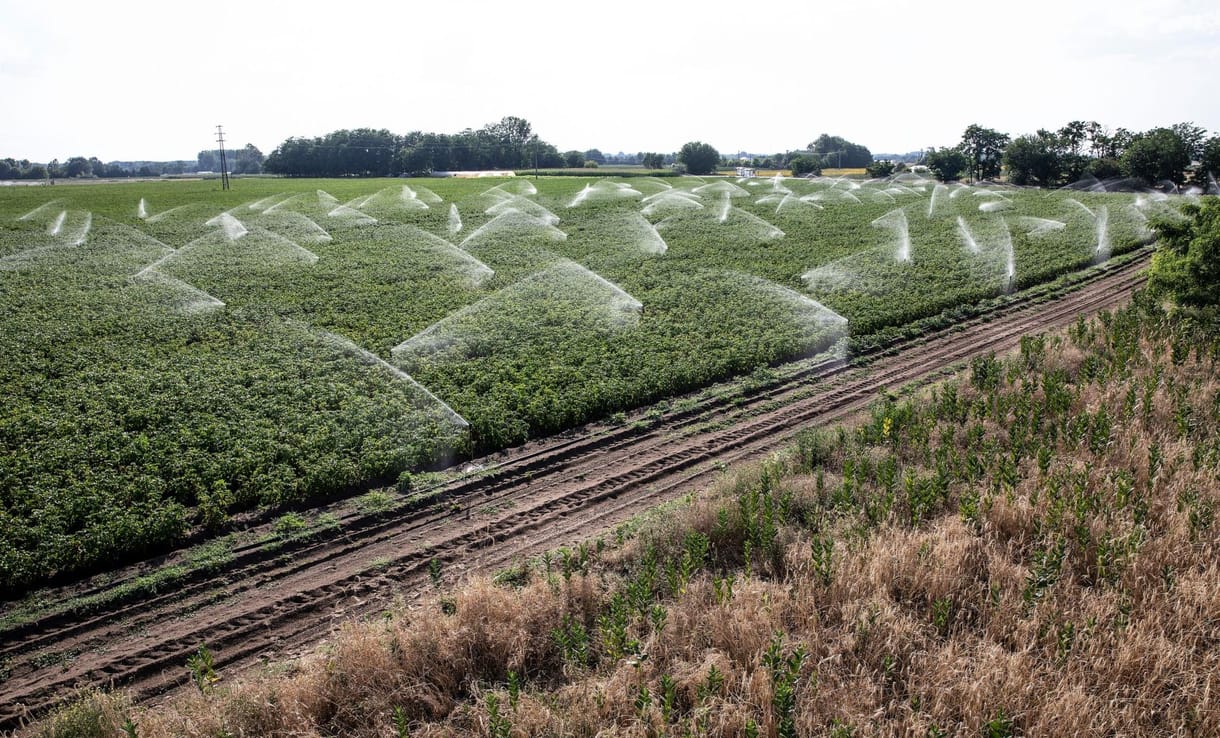 Majdnem egy pápalátogatás árát locsolhatják el ingyen a gazdák idén, az állam fizet helyettük