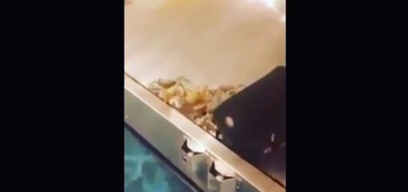 Ez történik, ha az ember repülőn ad fel egy rakás rákot – videó