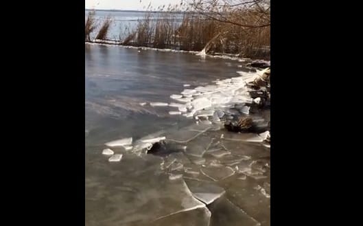Jégcunamit filmezett le a Balatonon egy horgász - videó