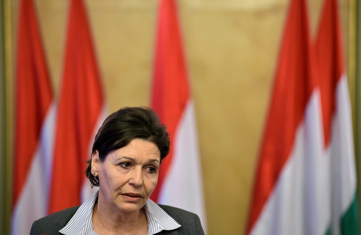 Áder testvére vezetheti a Klik utódját is