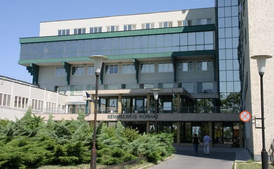 Gulyás Gergelytől kérte Bányai Gábor, hogy helyezzék vissza a kiskunhalasi kórház kirúgott főigazgatóját