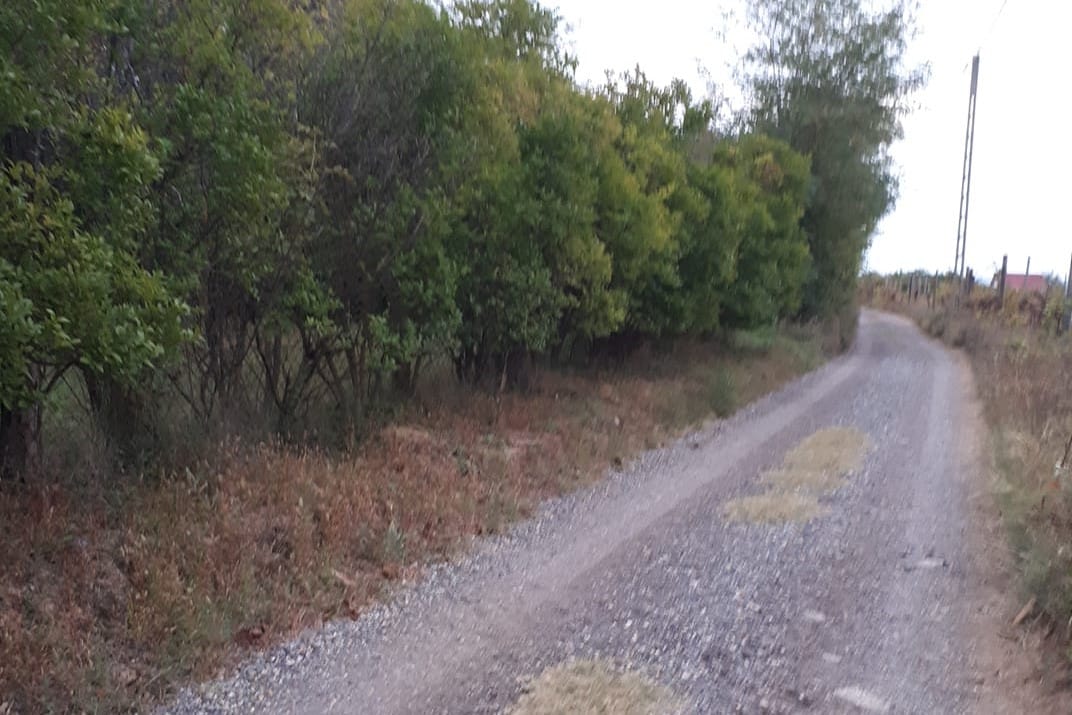 Futás közben támadtak meg egy szekszárdi tanárnőt