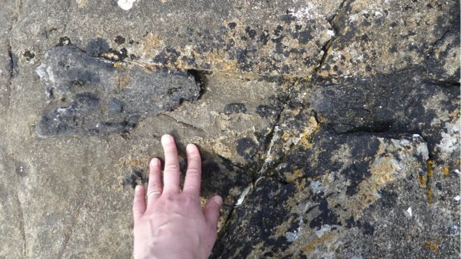 166 millió éves dinócsontban botlott el a mázlis paleontológus