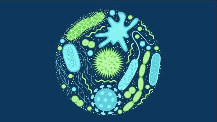 Antibiotikumok helyett trükkös antivitaminok jöhetnek