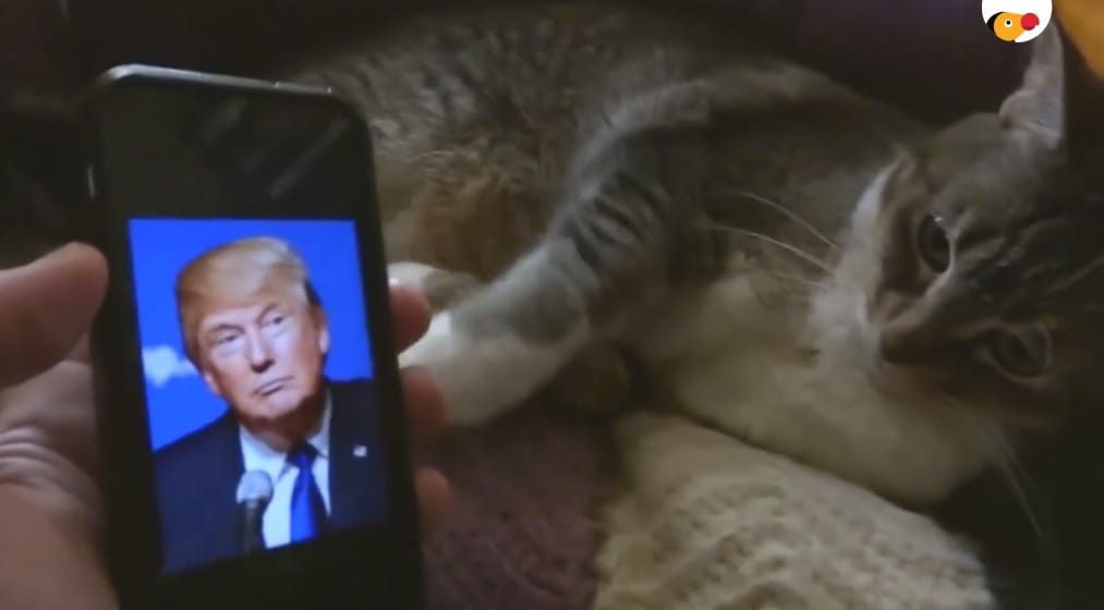 Elvették Trumptól a telefonját