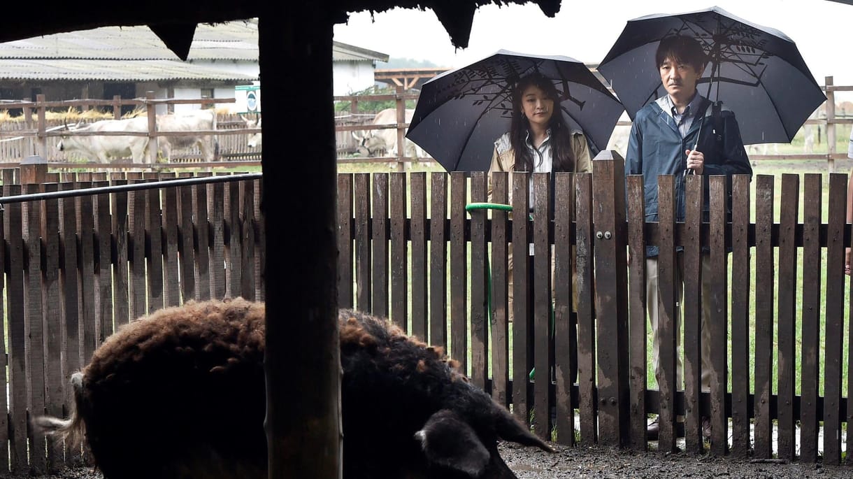 Titokban ment el a japán herceg Mészáros Lőrinc sertéstelepére – videó