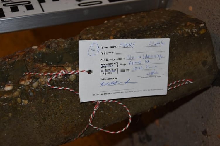 A Sióba dobva ölt meg két kutyát egy férfi