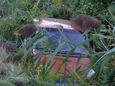 Fotó: a fűben „lapult” a balesetes Daewoo