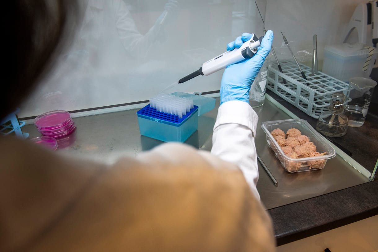 Olaszország betiltotta a laboratóriumban előállított húst