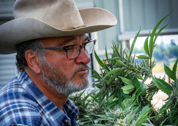 Kannabiszfarmenek állt James Belushi