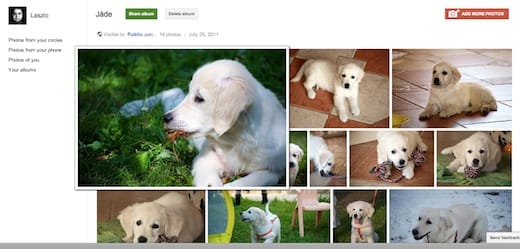 Tegye át Facebook-képeit a Google+-ra is!
