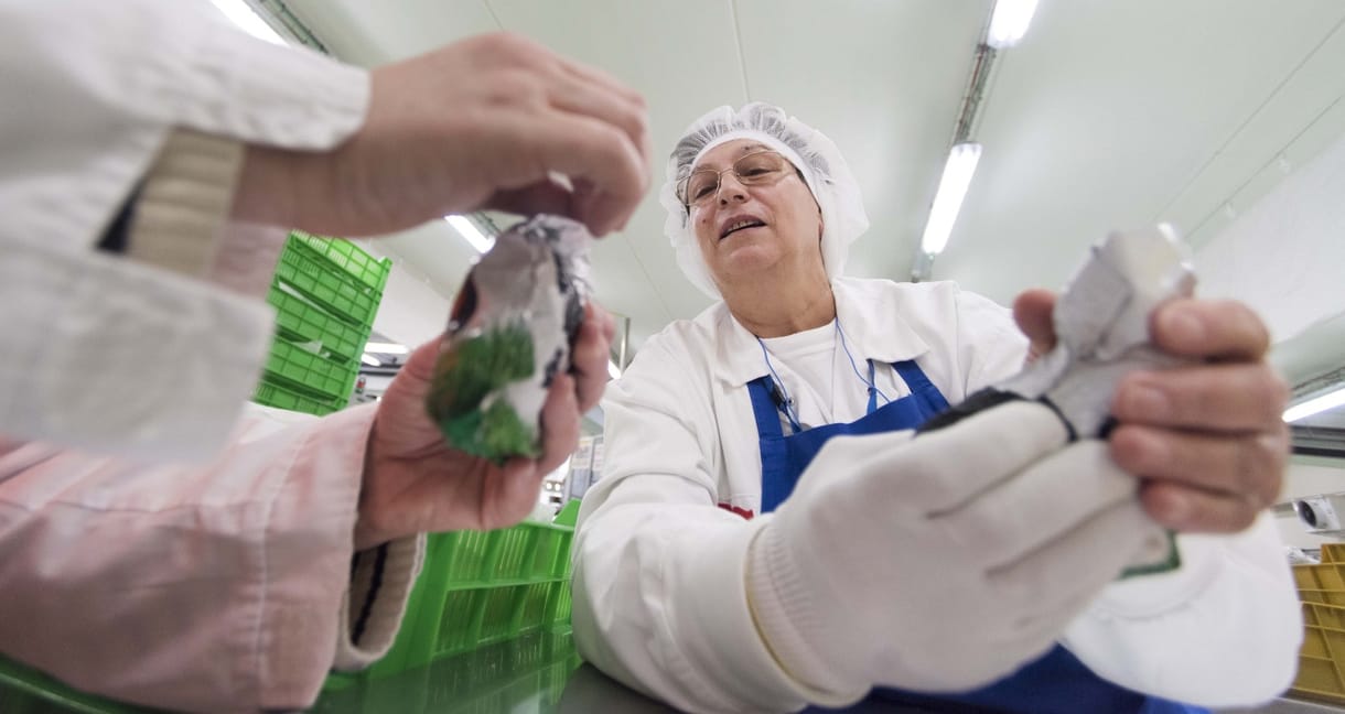 Keserű szájíz – végre magára talált a hazai édesipar, erre elmegy a munkaerő