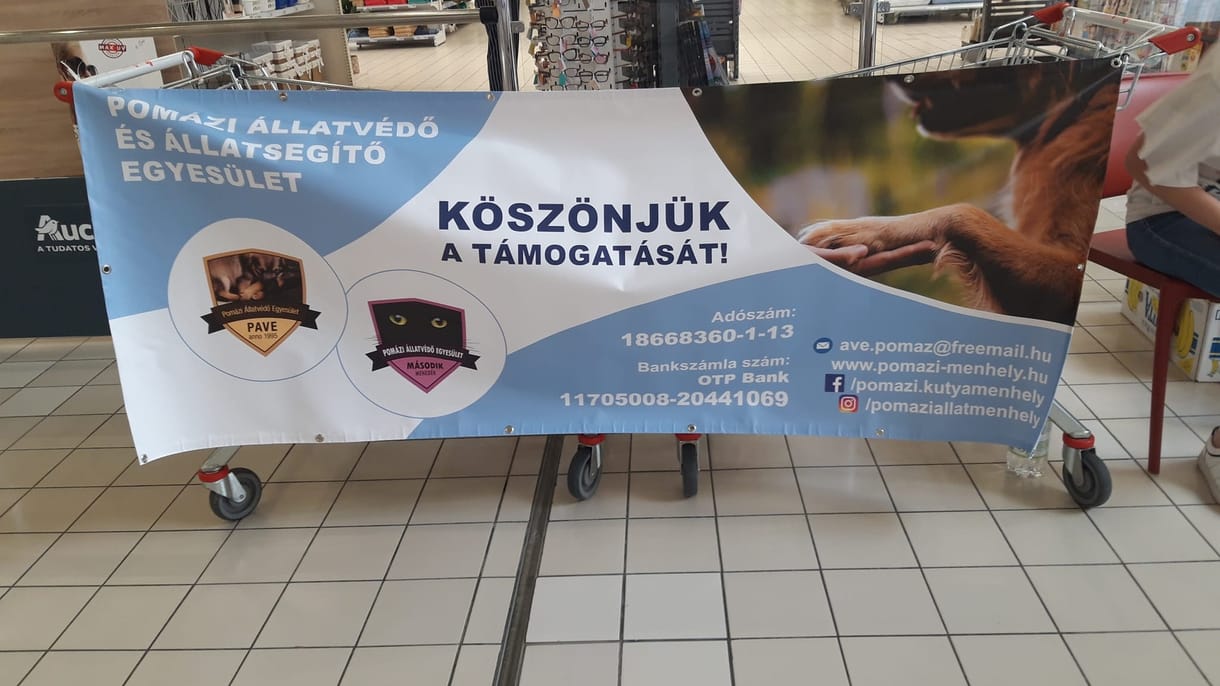 Tűz ütött ki a pomázi állatmenhelyen, egy gázpalack is felrobbant