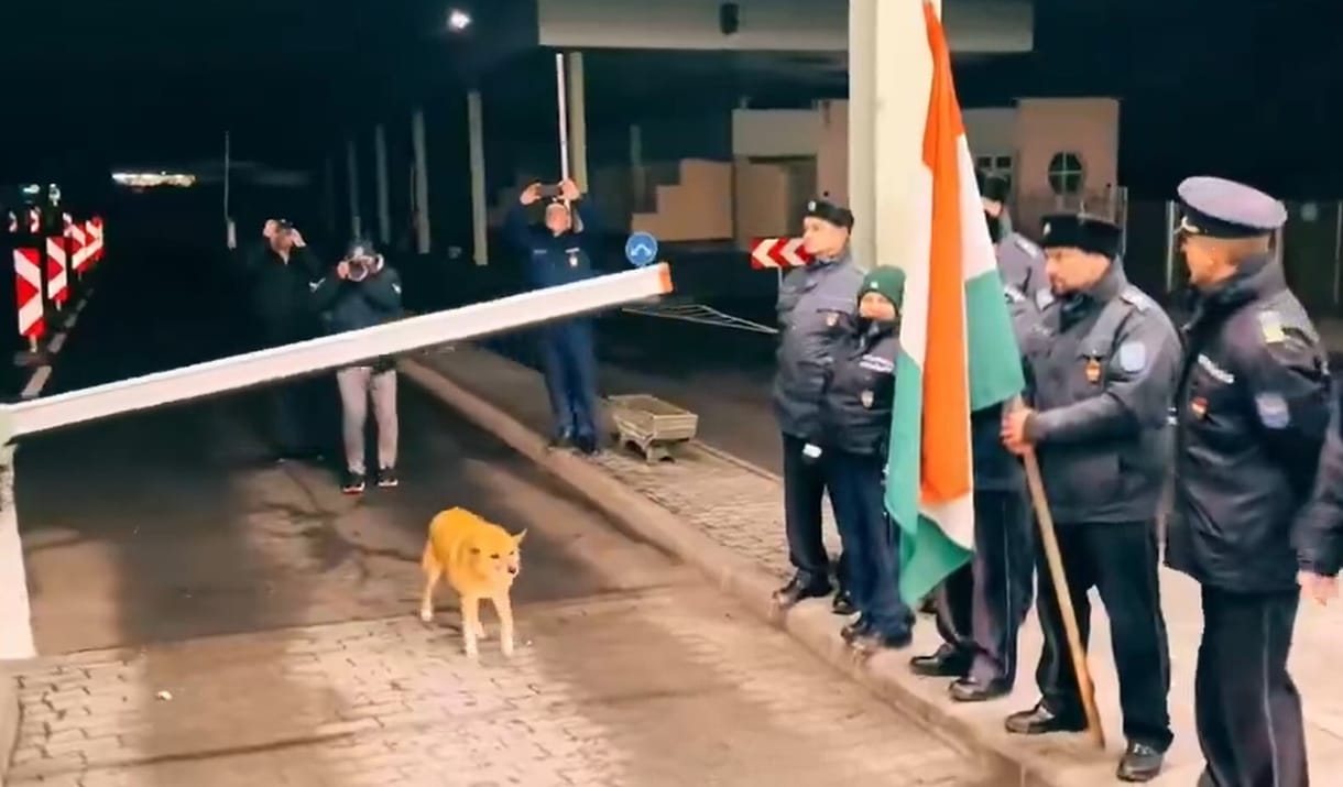 Megtapsolták a szerencsés kutyát, amelyik a megnyitott magyar–román határ első átkelője volt – videó