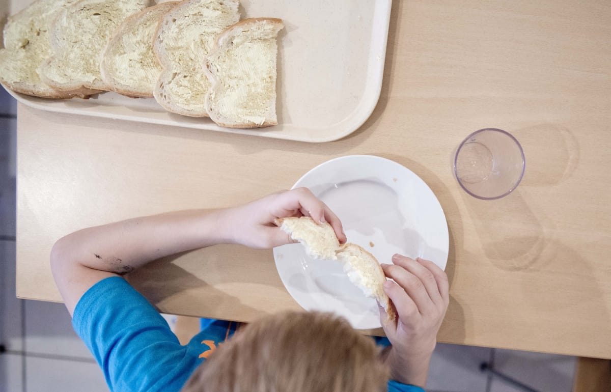 A tömeges rosszullét után felfüggesztették a lábatlani közétkeztetést végző céget