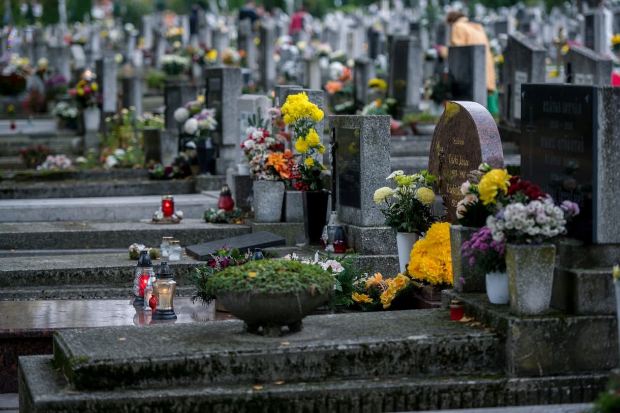 Húsz százalékkal drágultak a virágok és a csokrok
