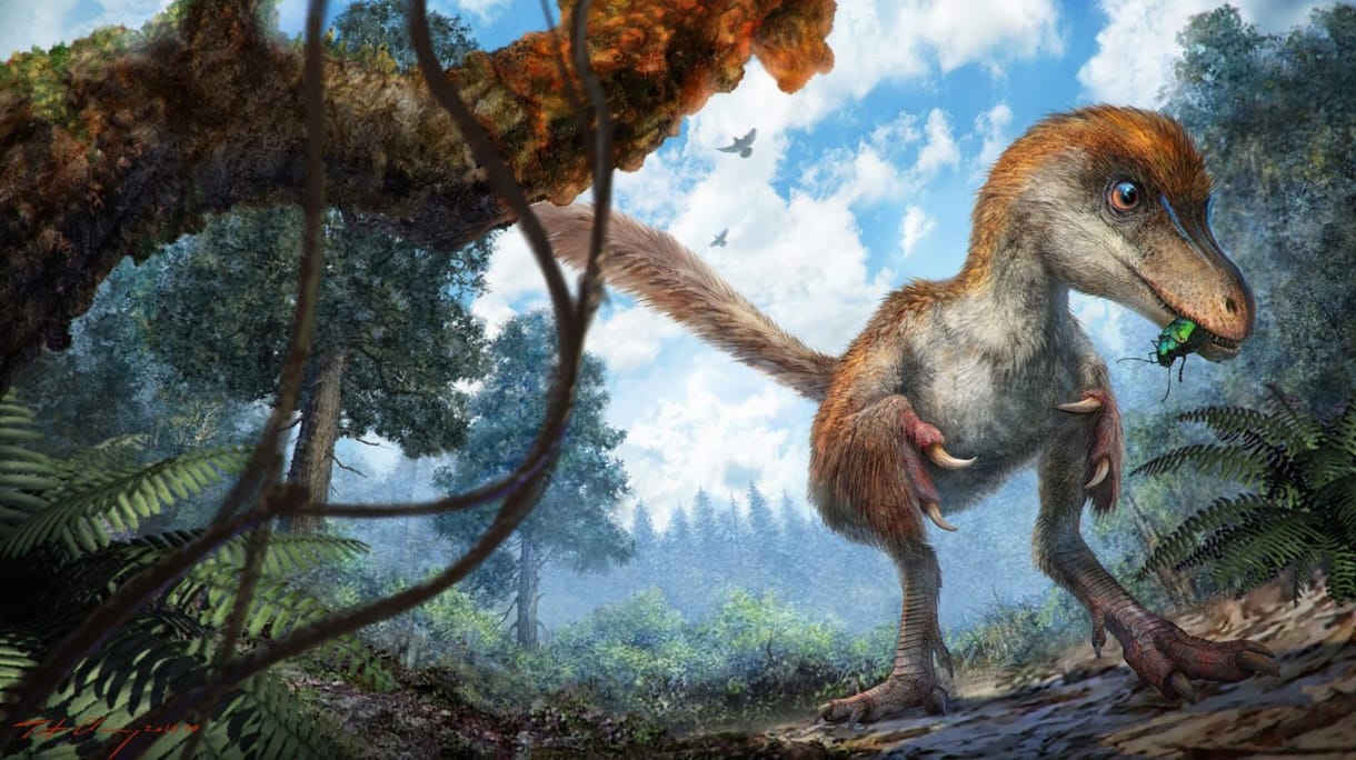Dinoszauruszfarkat találtak egy borostyánban