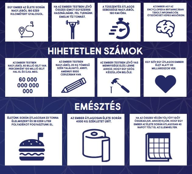 Tudja mennyit eszünk és iszunk életünk során? És mennyit ürítünk?