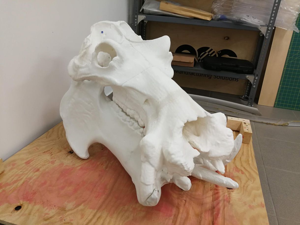3D-nyomtatott állatcsorda várja a bevetést Pécsett