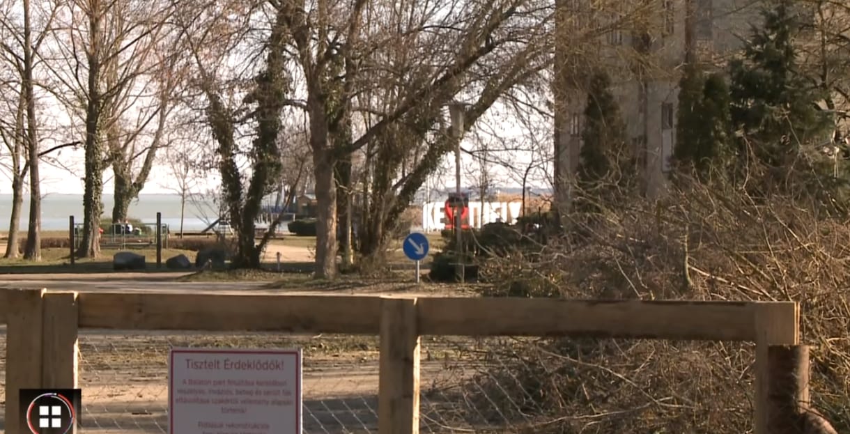 Kivágnak több tucat fát a Balaton partján Keszthelyen