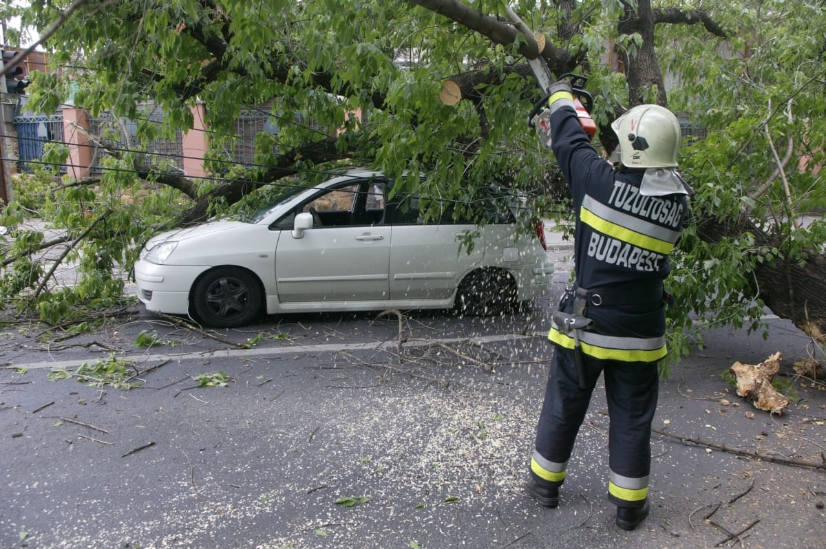 Kidőlt fa miatt nem közlekedik több troli Budapesten - fotó