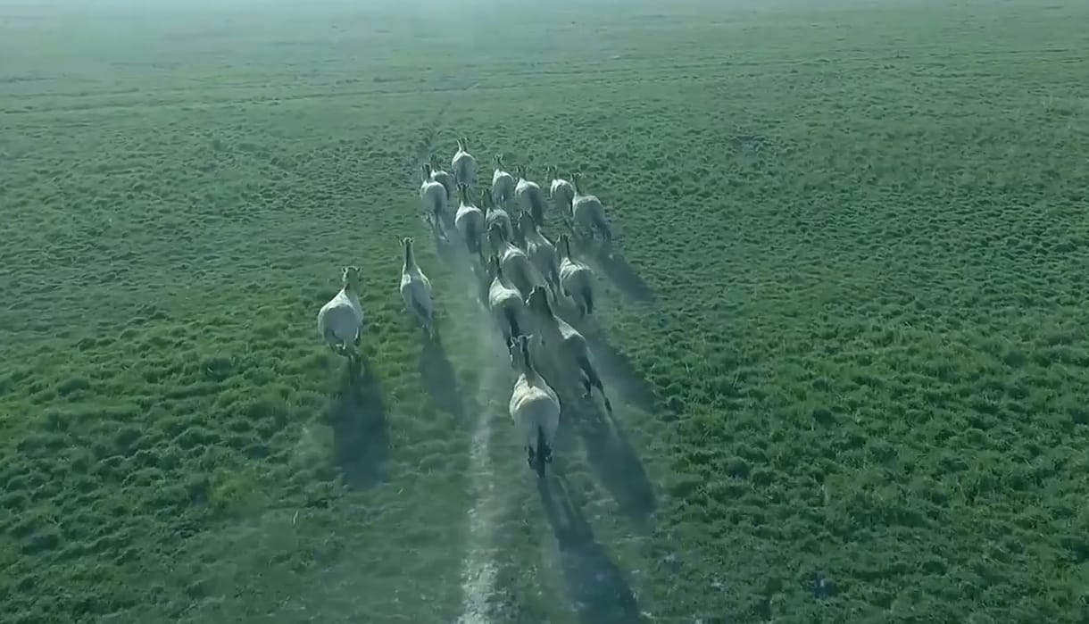 Megejtően szép drónvideó készült a Hortobágyról