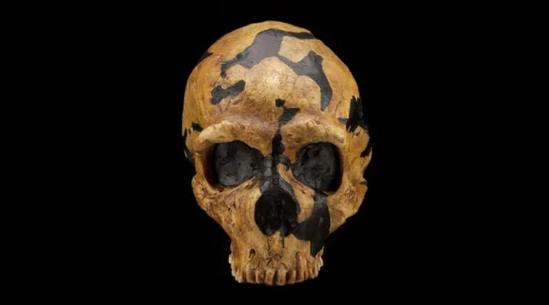 20 méter magasan lévő barlangban bukkantak a neandervölgyi ember nyomára
