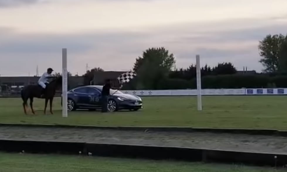 Videó: ilyen egy több száz lóerős Tesla és egy ló versenye